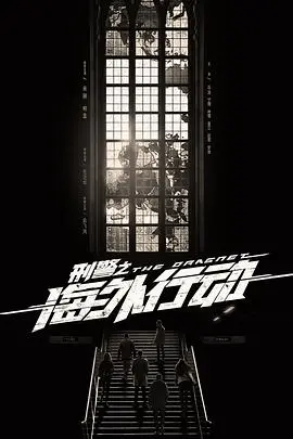 《刑警之海外行动》：跨国追凶，燃爆你的肾上腺素！揭秘境外执法背后的危机与担当