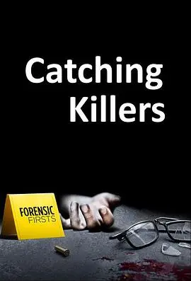 《追捕连环杀手 第二季》：深度剖析罪与罚，人性阴影下的惊悚追击！