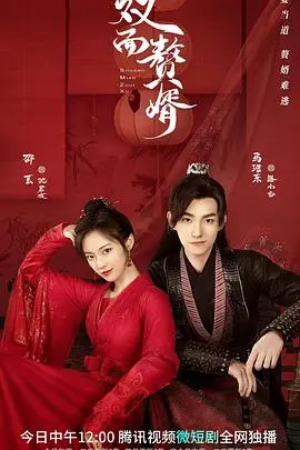 《双面赘婿第二季》：格局重塑，情感升华，看主角如何扭转乾坤，再创辉煌！